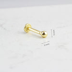 14k Solid Gold Ball Tragus Piercing - alternate view 3