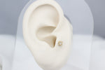 14k Solid Gold Star Tragus Piercing - alternate view 5