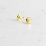 14k Solid Gold Shell Tragus Piercing
