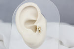 14k Solid Gold Seahorse Tragus Piercing - alternate view 5
