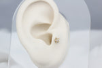 14k Solid Gold Starfish Tragus Piercing - alternate view 5
