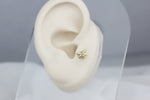 14k Solid Gold Clover Tragus Piercing - alternate view 5
