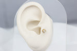 14k Solid Gold Drop Tragus Piercing - alternate view 5