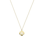 14k Solid Gold Oyster Necklace
