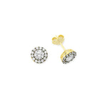 14k Solid Gold Oval Earring